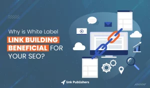 Why is white label link building beneficial for SEO, white label backlinks