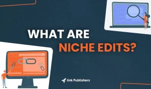 what are niche edits