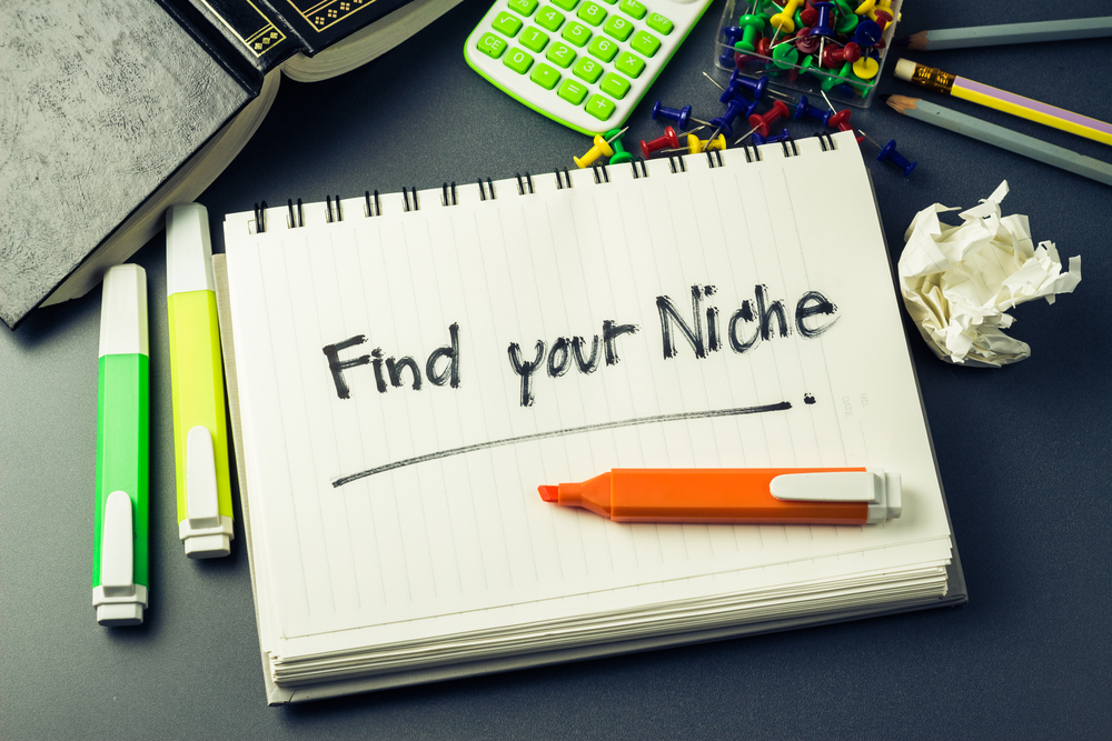 Choose a profitable niche