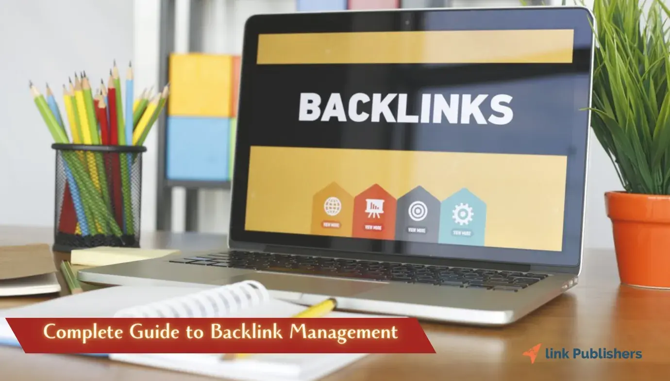 Backlink Management Guide: Useful Tools, Strategy, and Tracking